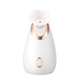 Nano Mist Spray Mini Spa Professional Face Humidifier